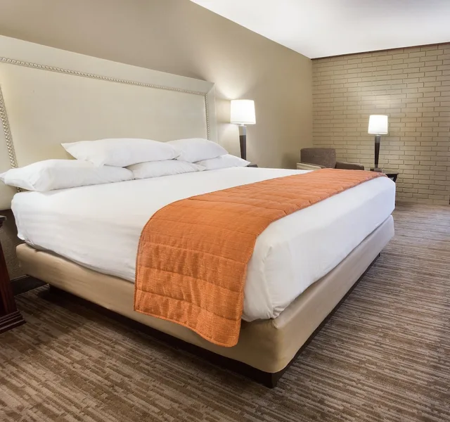 غرفة ديلوكس بسرير كينج لذوي الإعاقة، Drury Inn and Suites Greensboro 1/4