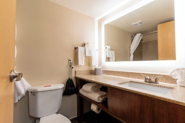 جناح بغرفة نوم واحدة، Grand Canyon Hotel and Suites 4/4