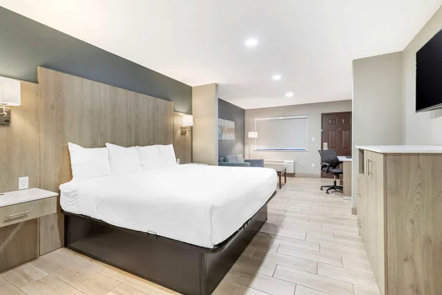 جناح جونيور بسرير كينج مع أريكة، Best Western Plus Edinburg Inn & Suites 1/4