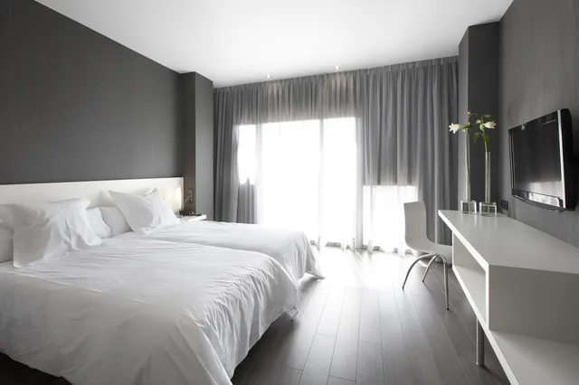 غرفة قياسية بسريرين منفصلين، Hotel Masmonzon 4/10