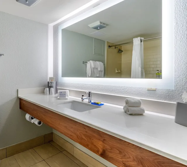 غرفة قياسية بسرير كينج، Holiday Inn Express Cape Coral-Fort Myers Area 5/5