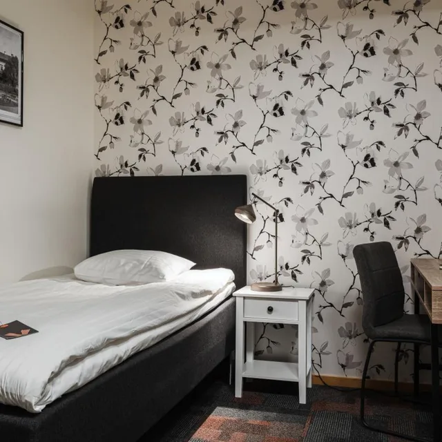 Compact, Single, No Window, Comfort Hotel Skelleftea 2/7