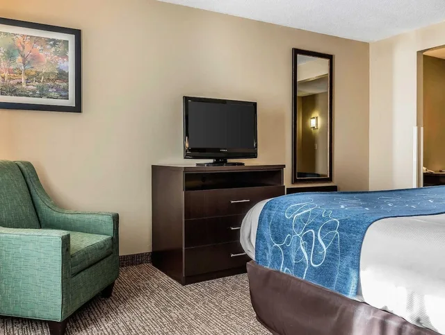 Efficiency, Suite, King Bed، Comfort Suites Miamisburg - Dayton South 2/4