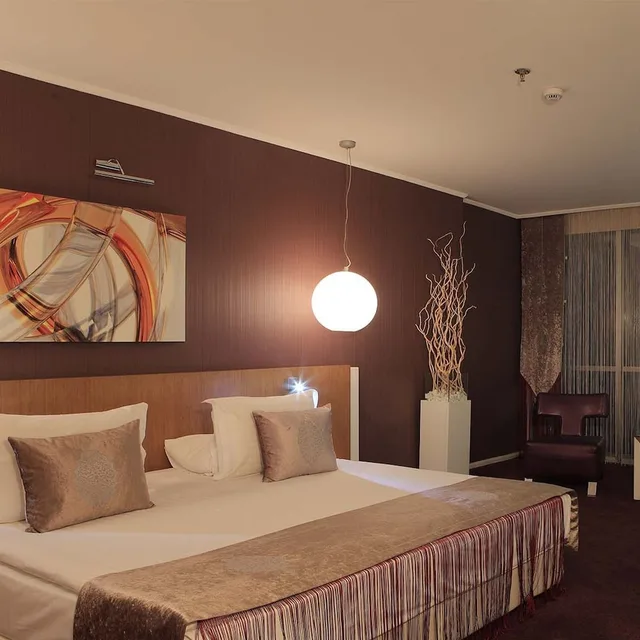غرفة سوبيريور بسرير مزدوج، City Hotel Ankara 3/10