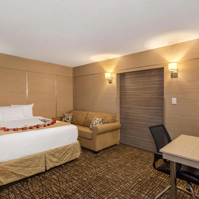 جناح بغرفة نوم واحدة، Ocean Beach Palace Hotel And Suites 4/10