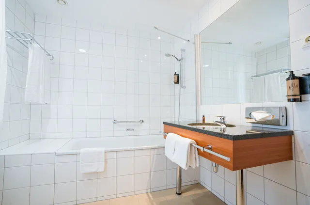 Executive, Single, Ibercity Wien Schonbrunn 6/6