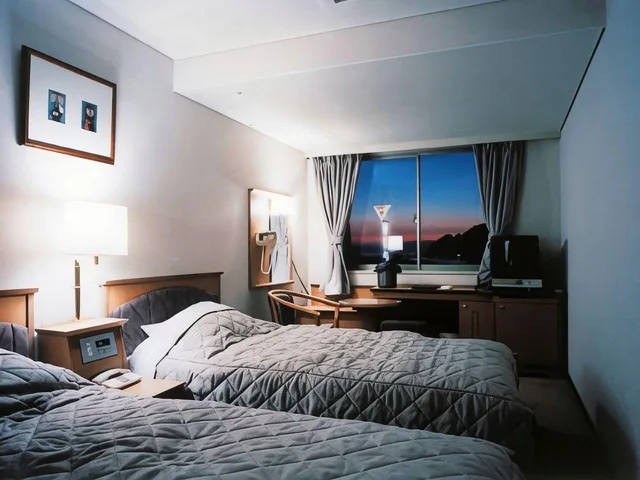 غرفة قياسية بسرير مزدوج، Harbor Plaza Hotel 1/1