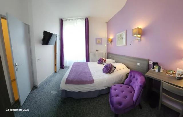 غرفة كومفورت مفردة، Citotel Le Rohan 5/6