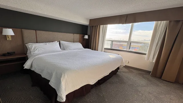 جناح بسرير كينج مع أريكة، Holiday Inn Hotel And Suites London 5/7