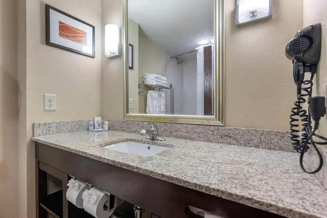 غرفة بسرير كينج، Comfort Inn & Suites Artesia, NM 3/3