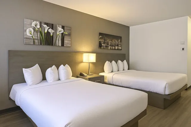 غرفة قياسية بسريرين كوين لذوي الإعاقة، Repotel Levis 1/1