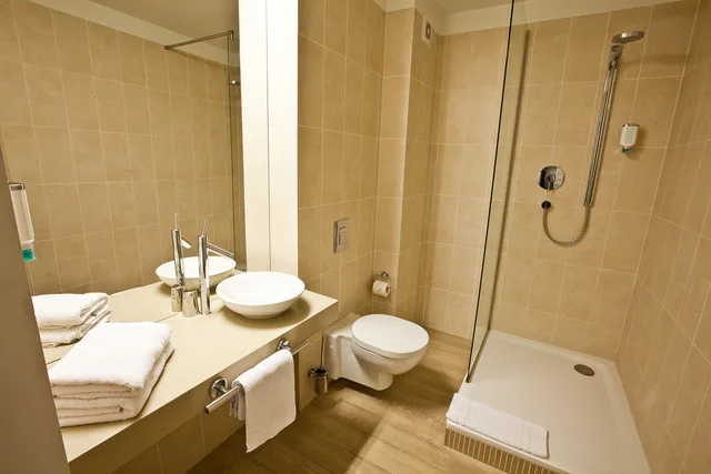 غرفة ديلوكس مفردة، PLATINUM PALACE APARTMENTS 7/7