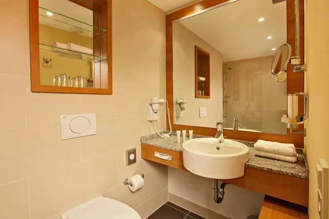 Family, Double and Twin Beds, Valley View، H Plus Hotel Willingen 7/10