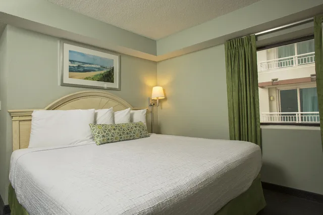 Condo, Standard, King Bed, Murphy Bed, Partial Ocean View، Grande Shores Ocean Resorts Condominiums 1/5