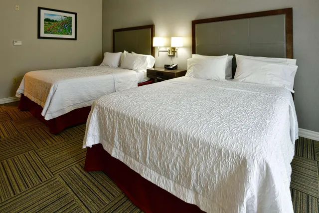 Room, 2 Queen Beds, Court View, Balcony، Hampton Inn & Suites Fredericksburg 1/4