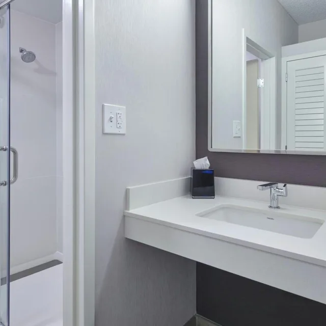 جناح بسرير مزدوج بإطلالة على الفناء، Courtyard By Marriott Detroit Metropolitan Airport Romulus 5/6