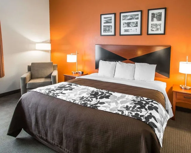 جناح بسرير كينج مع أريكة لذوي الإعاقة، Sleep Inn & Suites Palatka North 6/8