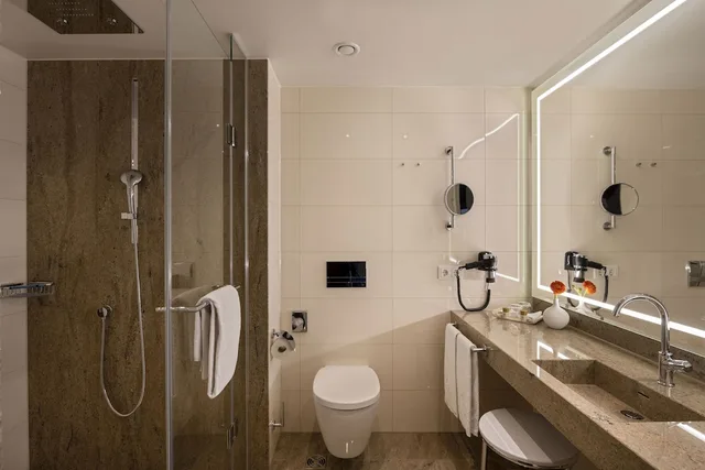 جناح عائلي بسرير كينج مع أريكة، Maritim Hotel Ingolstadt 5/6