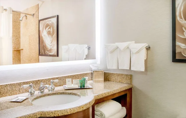 غرفة بسرير كينج بشرفة، Hilton Wilmington Christiana 3/3