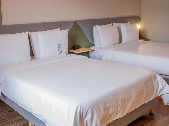 غرفة تنفيذية بسريرين مزدوجين، Novotel Monterrey Valle 2/7