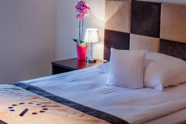 1 Bedroom, Apartment, Boutique Hotel’s Bytom 5/10