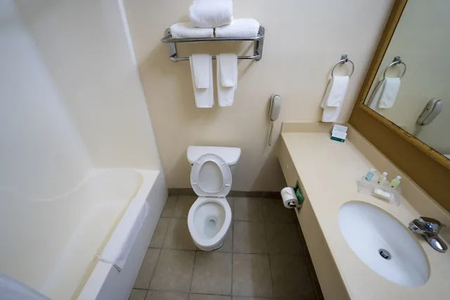 جناح بسرير كينج لذوي الإعاقة، Quality Inn & Suites Monroeville South 3/3