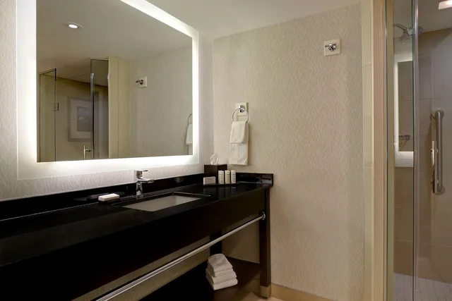 Suite, King Bed, Canadian Us Falls View, Embassy Suites By Hilton Niagara Falls Fallsview 1/1