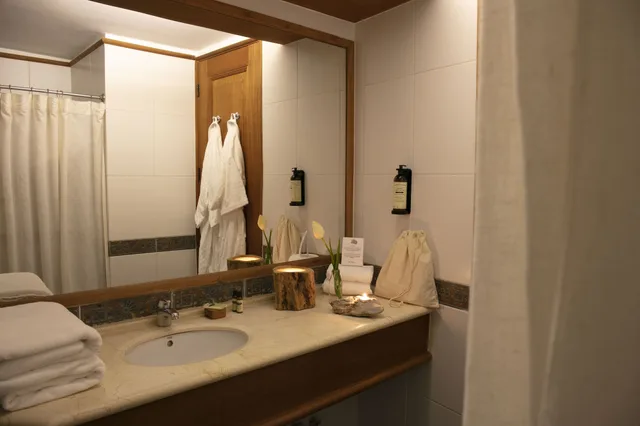 غرفة سوبيريور بسريرين منفصلين، Hotel Termas Puyehue Wellness & Spa Resort 3/3