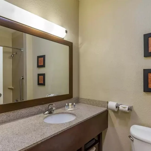 جناح ديلوكس بسرير كوين مع أريكة، Comfort Suites Montgomery East Monticello Dr 5/9
