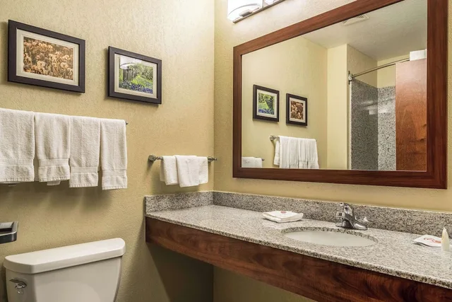 جناح بسرير كينج مع أريكة، Comfort Suites Near Texas State University 3/3