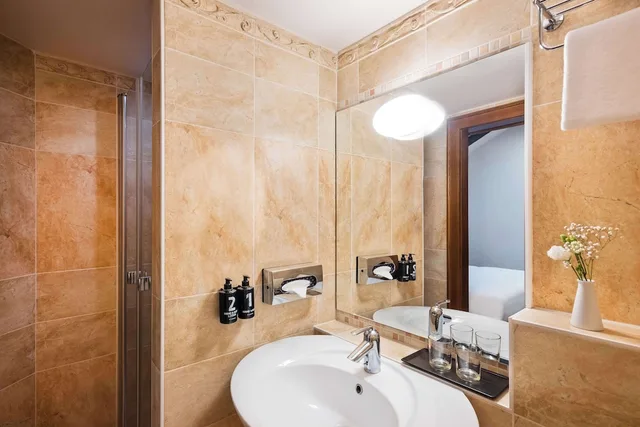 غرفة ديلوكس بسرير كينج، Lindner Hotel Prague Castle 3/3