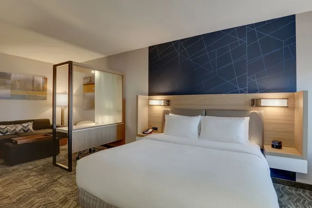 غرفة بسرير كينج لذوي الإعاقة، SpringHill Suites by Marriott Cheraw 3/6