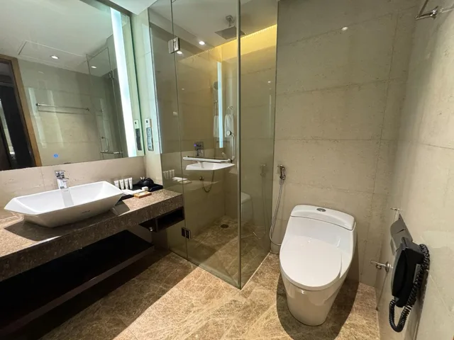 Business Class Room (Ig)، Radisson Blu Chattogram Bay View 5/6