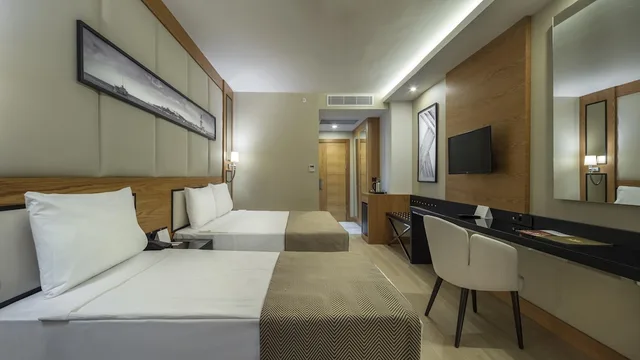 غرفة قياسية بسرير مزدوج، Aydinbey Queen s Palace & Spa 4/8