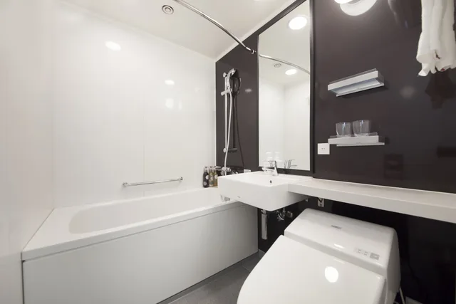 Moderate, Double Bed، Richmond Hotel Tokyo Suidobashi 3/4