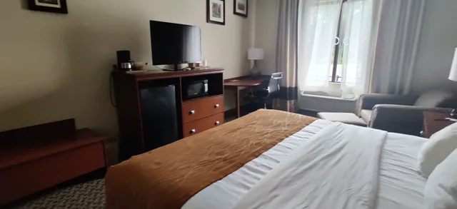 غرفة قياسية بسرير كينج، Comfort Inn & Suites Midway - Tallahassee West 5/10