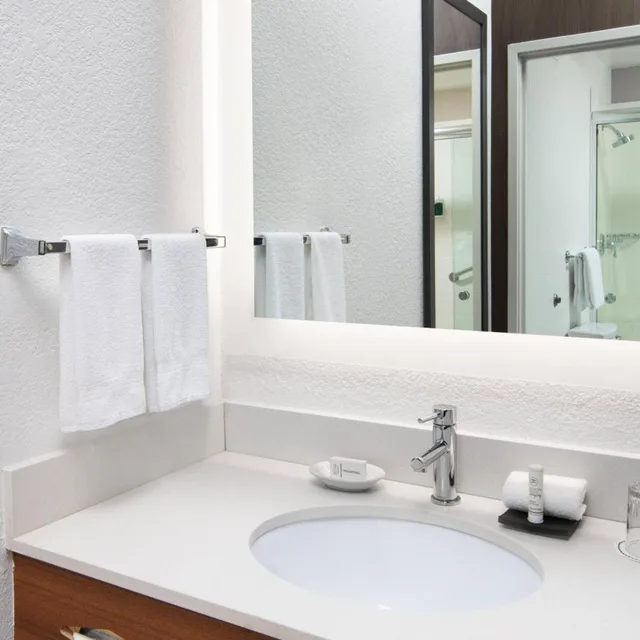 جناح بسرير كينج مع سرير سحّاب إضافي مع أريكة بحوض استحمام لذوي الإعاقة، Springhill Suites Scottsdale North 3/4