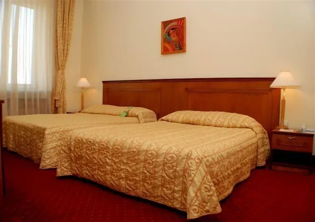 غرفة بسرير كينج لذوي الإعاقة، Ramada by Wyndham Plovdiv Trimontium 1/5