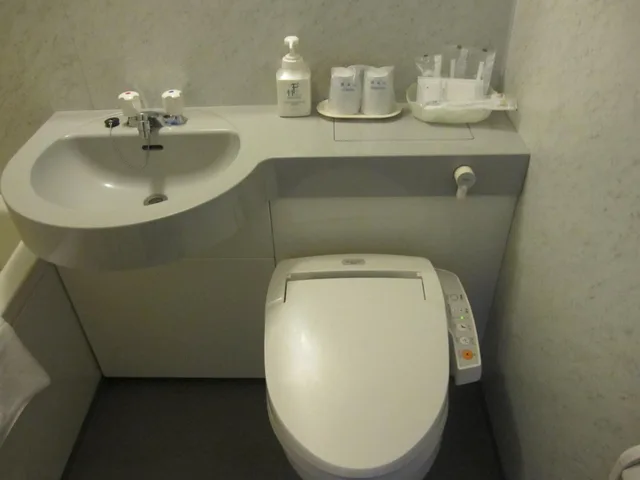 غرفة كبيرة بسريرين منفصلين، Asahikawa Toyo Hotel 10/10
