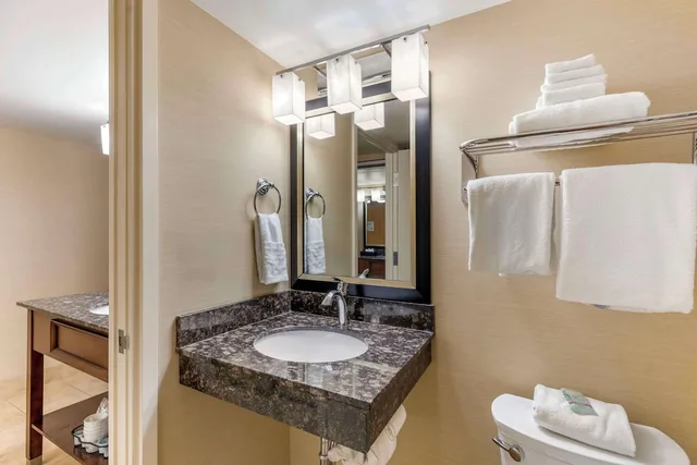 غرفة قياسية بسرير كينج، Best Western Cottontree Inn 7/7