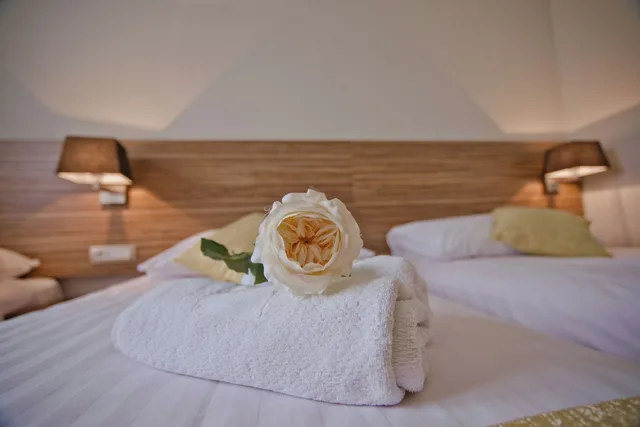 غرفة قياسية ثلاثية بثلاثة أسرّة بإطلالة على المدينة، Medjugorje Hotel Spa 9/10