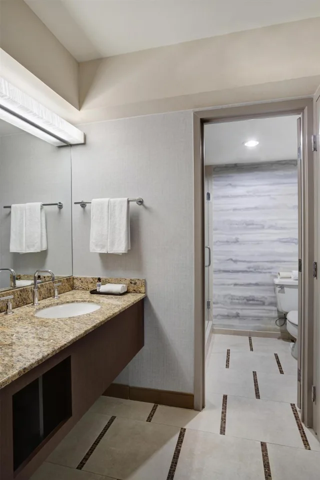 جناح جونيور بسرير كينج مع أريكة، Hyatt Regency DFW International Airport 6/6