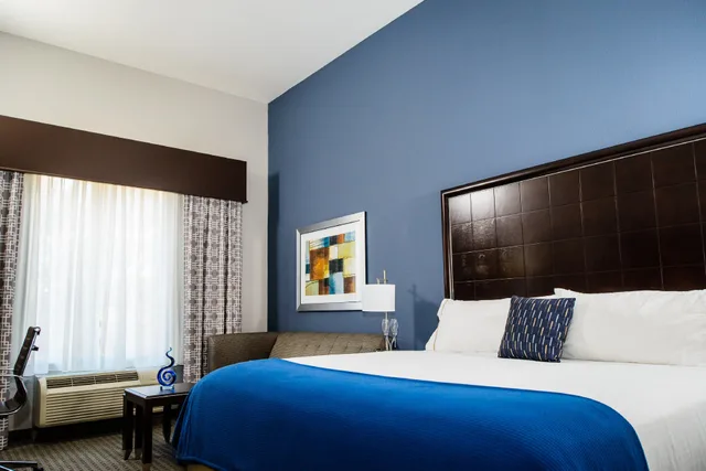 Room, Double Bed, Accessible, Holiday Inn Express Suites Austin Nw Arboretum Area 1/1