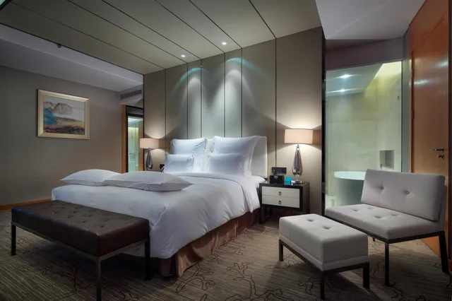 جناح تنفيذي، Pullman Anshan Time Square 3/5