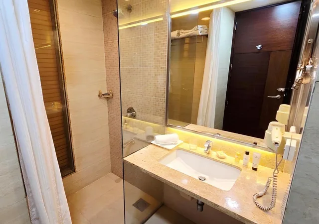 غرفة قياسية، Shervani Nehru Palace Hotel 7/9