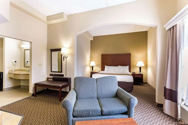 Efficiency, Suite, King Bed, Sofa، Comfort Suites Elkridge Columbia Gateway 1/5