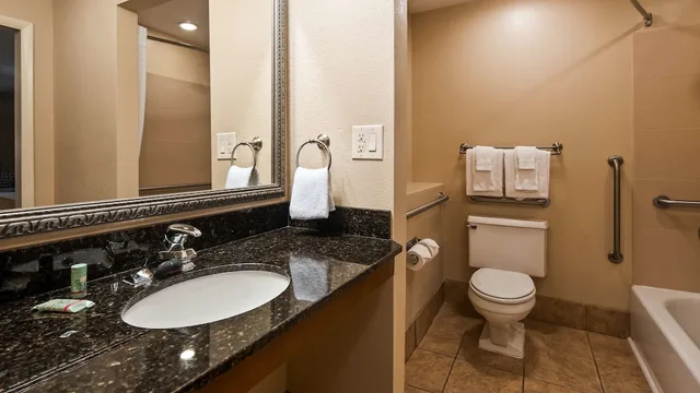 غرفة قياسية بسرير كينج لذوي الإعاقة، Best Western Coach House 4/9