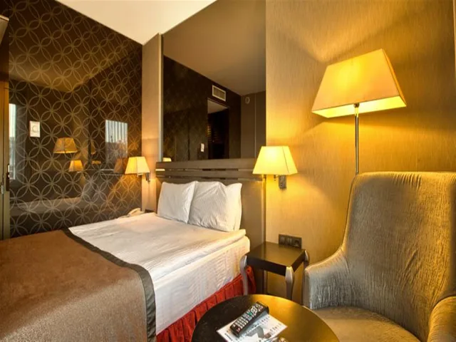 غرفة قياسية مفردة بسرير مزدوج، Niza Park Hotel 7/8
