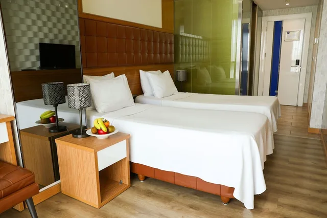 غرفة قياسية بسريرين منفصلين، The Hera Platinum Hotel 1/8