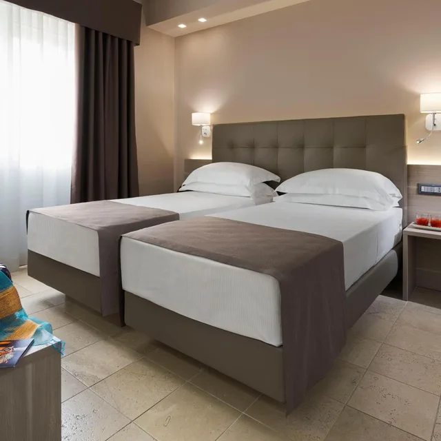 غرفة قياسية بسرير مزدوج أو سريرين منفصلين، Netum Hotel 6/10